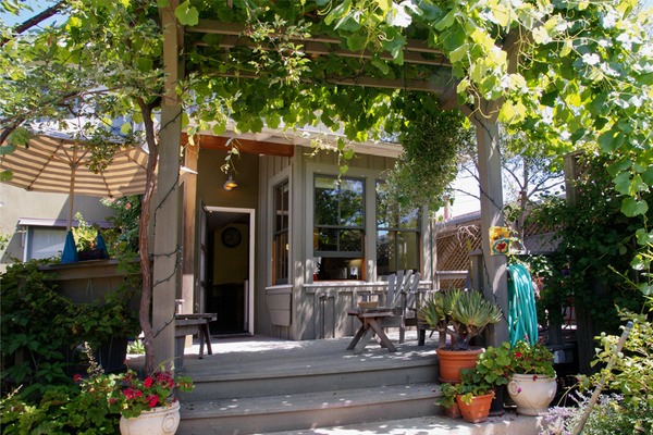 18. grape arbor at kitchen deck