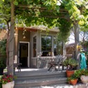 18. grape arbor at kitchen deck